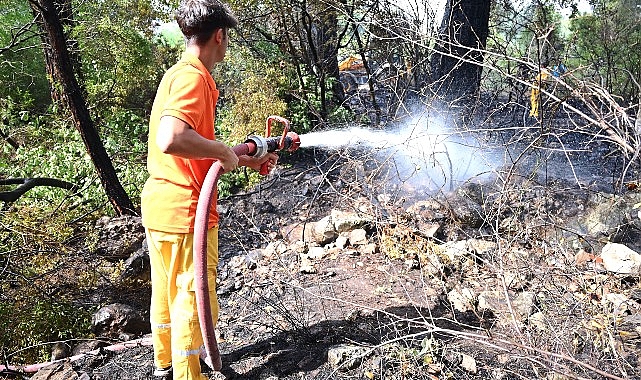 Kemer’de henüz belirlenemeyen bir nedenle çıkan orman yangını, büyümeden kontrol
