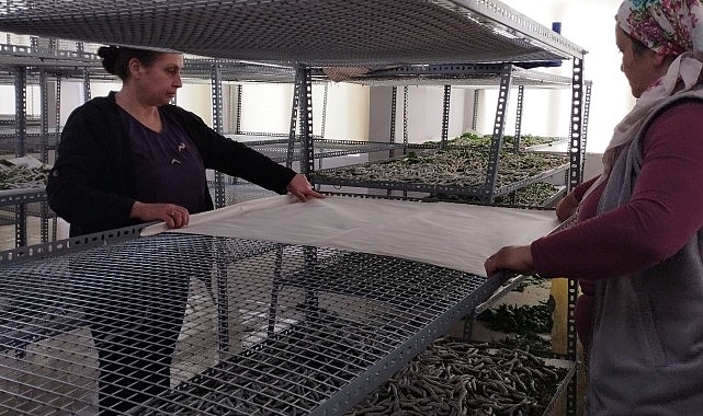 Somut Olmayan Kültürel Miras kadın üreticilerin elinde yeniden canlanıyor