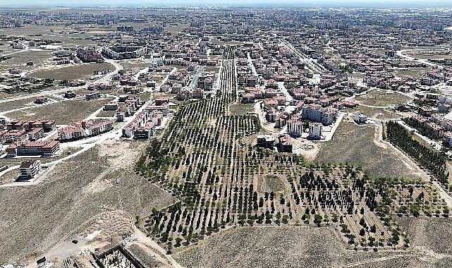  Selçuklu Belediyesi ilçenin yeşil dokusuna katkı sağlamak amacıyla Selahaddin Eyyubi