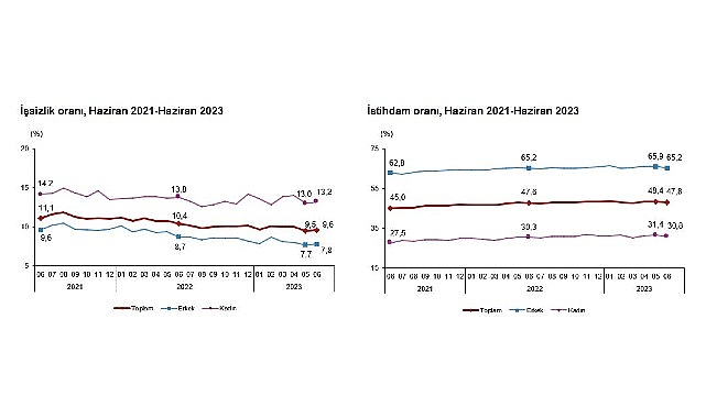 Hanehalkı İşgücü Araştırması sonuçlarına göre; 15 ve daha yukarı yaştaki