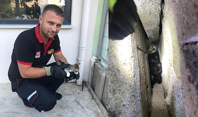 Lüleburgaz’da bir apartmanda duvar arasına sıkışan ve vatandaşların çıkaramadığı yavru
