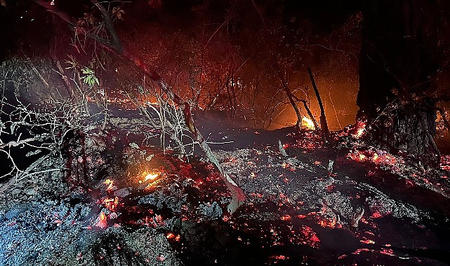 BUCA’nın Doğancılar Mahallesi’ndeki ormanlık alanda gece geç saatlerde çıkan ve