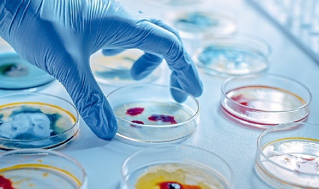 Sepsis için kısa bir tanımlama gerekirse “vücuttaki en ağır enfeksiyon