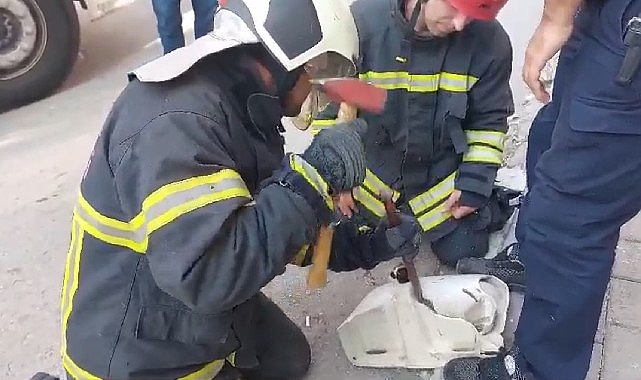 Kocaeli’nin İzmit ilçesinde bir sokakta seramik lavaboya sıkışan yavru kedi,