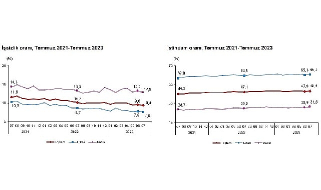Hanehalkı İşgücü Araştırması sonuçlarına göre; 15 ve daha yukarı yaştaki