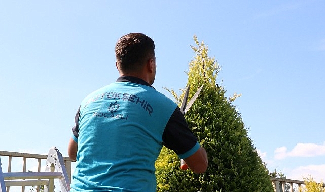 Büyükşehir, ağaç ve çalı gruplarının daha kuvvetli ve sağlıklı olabilmesi