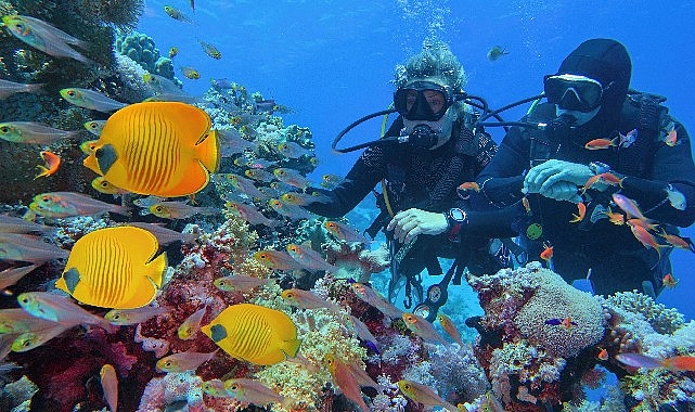 Koç Topluluğu şirketlerinden Setur, sonbahar mevsiminde yazı yaşamaya devam etmek