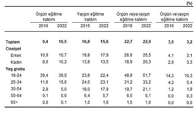 Türkiye'de 18 yaş ve üzeri nüfustan son 12 ayda örgün