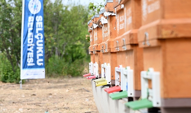 Selçuklu Belediyesi Kırsal Hizmetler Müdürlüğü tarafından yürütülen ve kırsal mahallelerde