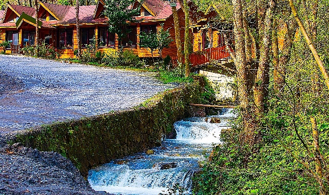 Fotoğraf çekmeyi sevenler için sonbaharın ışığı bir başka güzeldir. Havanın