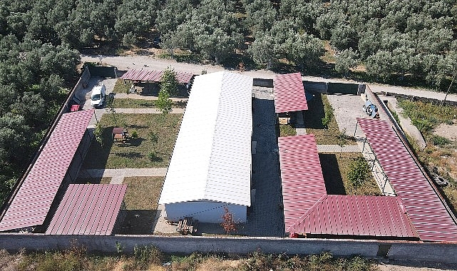 İznik Belediyesi’nin hayata geçirdiği Veteriner Sağlık Hizmetleri ve Rehabilitasyon Merkezinde