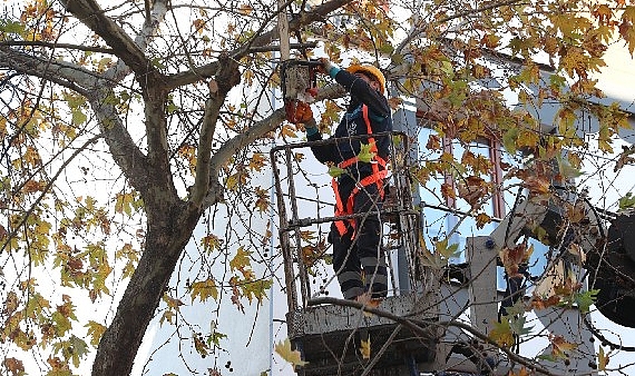 Bağcılar Belediyesi Park ve Bahçeler Müdürlüğü ekipleri, kış mevsiminin kendini