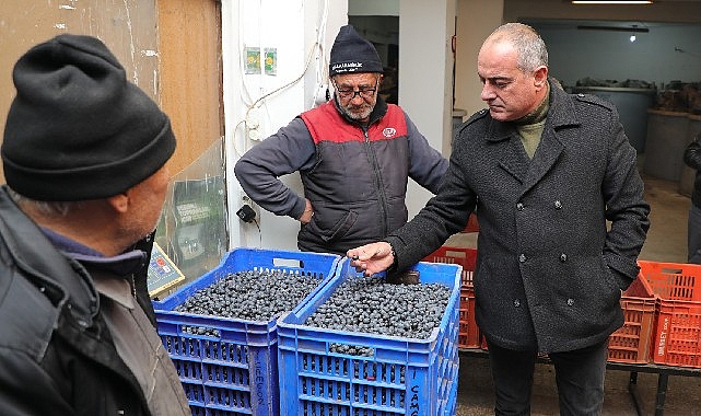 Gemlik Belediye Başkanı Mehmet Uğur Sertaslan, 26 Kasım Dünya Zeytin
