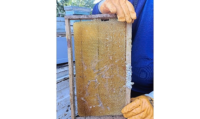 Muğla Büyükşehir Belediyesi, arı üreticilerinin en büyük sorunlarından biri olan