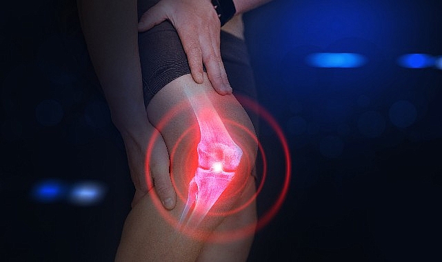 Dünyada en sık görülen eklem ağrısı sebeplerinden biri kıkırdak aşınması