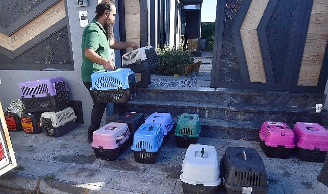 İzmir Büyükşehir Belediyesi’nin özellikle kırsal ilçelerde sokak hayvanları için hizmete