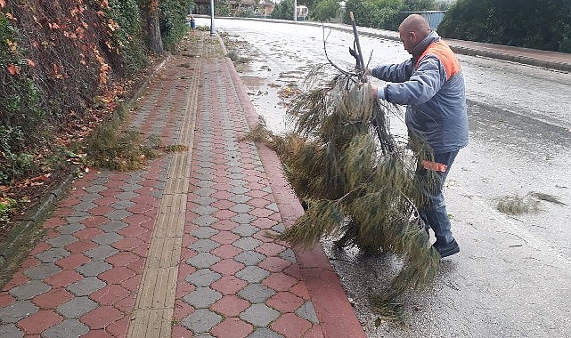 Kemer Belediyesi Fen İşleri, Park ve Bahçeler ile Temizlik İşleri