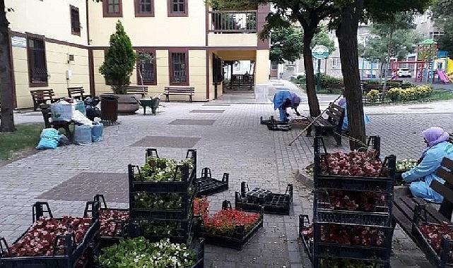 Osmangazi Belediyesi, toprakla buluşturacağı 400 bin çiçek ile ilçeyi sonbahar