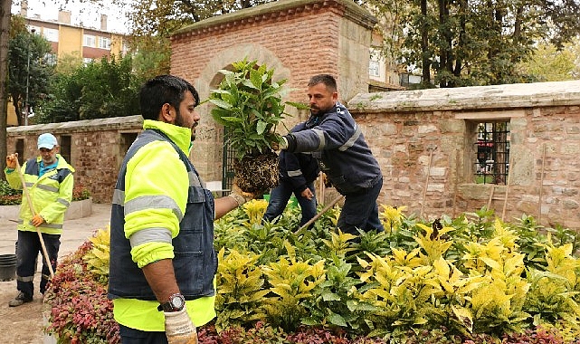 Büyükşehir, restorasyonu tamamlanan Yeni Cuma Camii’nin avlusunda bulunan ağaçların etrafını