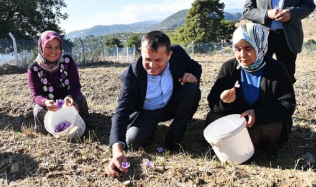 Mersin Yenişehir Belediyesi ve Yenişehir İlçe Tarım ve Orman Müdürlüğü