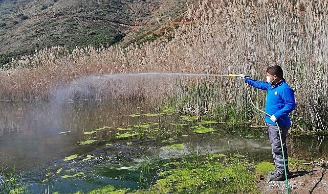 Antalya Büyükşehir Belediyesi, vektörel mücadele çalışmalarını kış döneminde de aralıksız