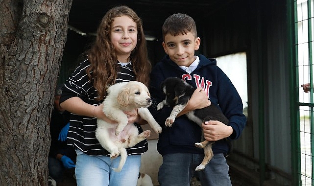 Faruk Kızıklı İlkokulu 4/B sınıfı öğrencilerinin okul bahçesinde buldukları hasta