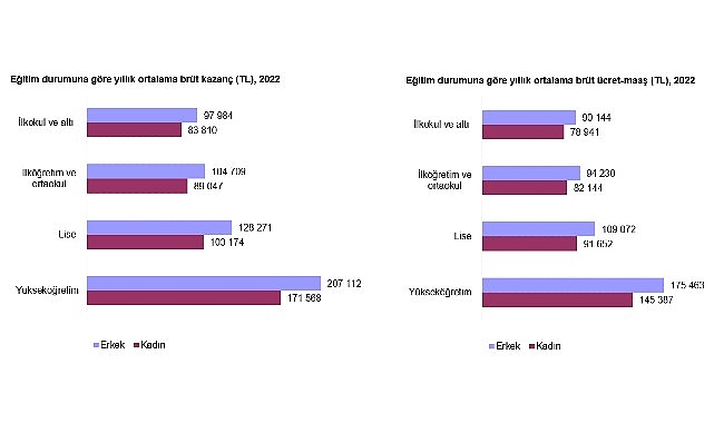 Kazanç Yapısı İstatistikleri, anket verilerine dayalı olarak 2006 yılından itibaren