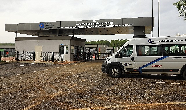 Antalya Büyükşehir Belediyesi Sokak Hayvanları Geçici Bakımevi ve Rehabilitasyon Merkezi'nde