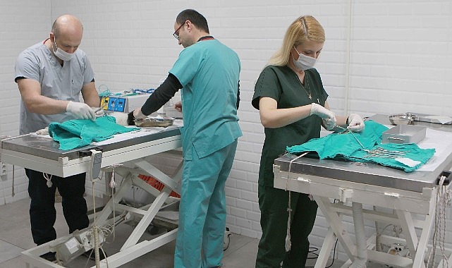 Bayraklı Belediyesi Veteriner İşleri Müdürlüğü ekipleri, yıl boyunca belirli periyotlarda