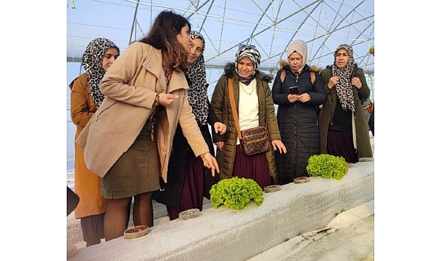 İzmit Ziraat Odası üyesi kadın çiftiler, Büyükşehir’in topraksız tarım sistemi