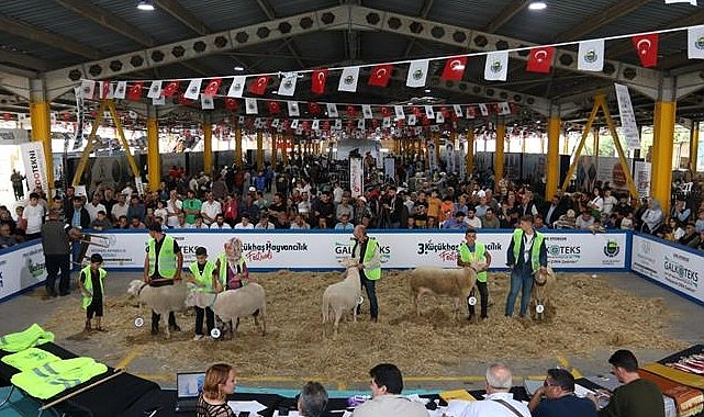 İnegöl Belediyesi’nin bu yıl 4’üncüsünü düzenleyeceği Küçükbaş Hayvancılık Festivalinin tarihleri