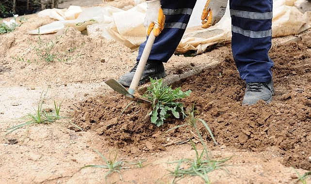 İklim krizi ve olası etkilerinden gıda krizine karşı kenti güçlendirmeyi