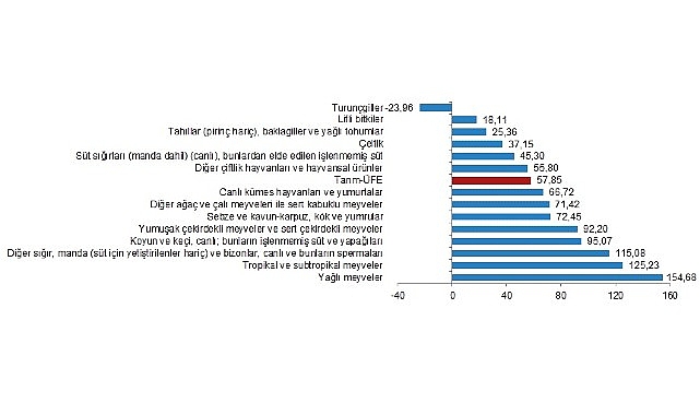 Tarım-ÜFE'de (2020=100), 2024 yılı Ocak ayında bir önceki aya göre