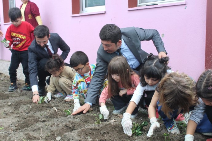 Muğla’nın Köyceğiz ilçesinde anaokulu öğrencileri ata tohumlarıyla okul bahçesinde kendi