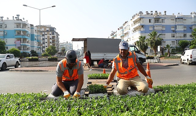 Antalya Büyükşehir Belediyesi Park Bahçeler Dairesi Başkanlığı 2 milyon yazlık