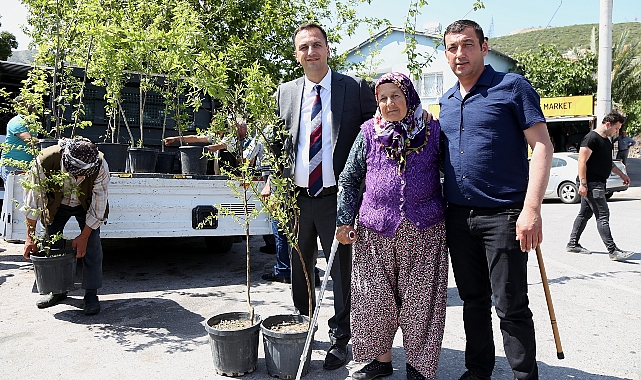 Bornova Belediyesi kırsal mahalleleri kalkındırmak amacıyla ücretsiz meyve fidanı dağıtmaya