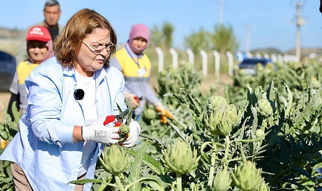 İlçede tarımsal kalkınmaya büyük önem veren Didim Belediyesi vatandaşların sofralarına