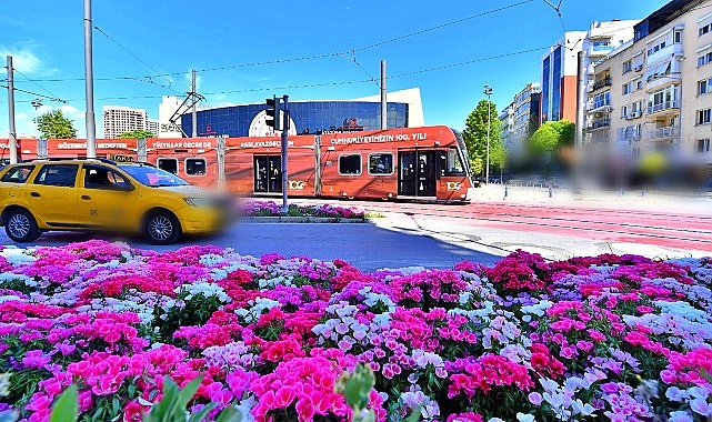 İzmir Büyükşehir Belediyesi, kentin caddeleri ve meydanlarını petunya, begonya, godetya,