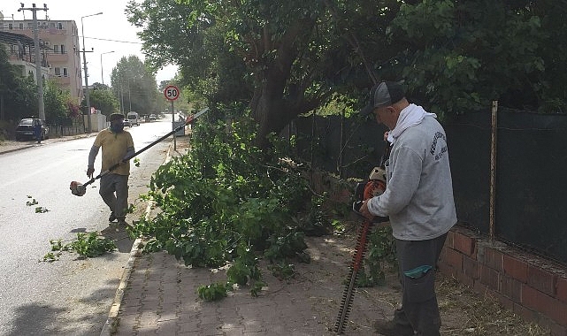 Kemer Belediyesi Park ve Bahçeler Müdürlüğü ekipleri, ilçe genelindeki yeşil