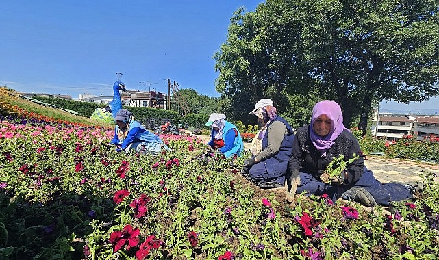 Osmangazi Belediyesi, yaz aylarında 338 bin çiçeği toprakla buluşturarak ilçenin