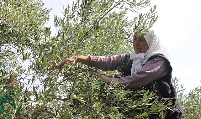 Anadolu topraklarında bin yıldır Türk çiftçisi üretiyor, ihracatçılarımız dünyanın dört