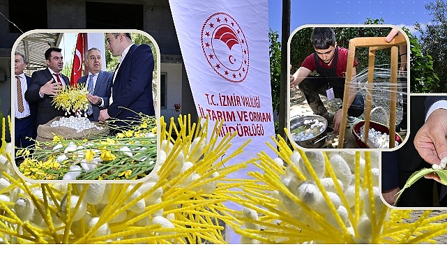 Türkiye'de ipekböceği yetiştiriciliği 29 ilde yapılıyor. Bunlardan biri de İzmir.