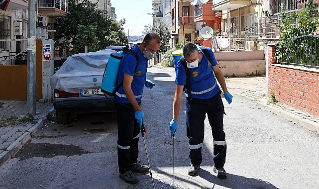 Buca Belediyesi, yaz aylarında artış gösteren sivrisinek, karasinek, hamam böceği,
