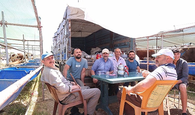 Antalya Büyükşehir Belediyesi, 19 ilçede kurbanlık satış noktalarında hayvanların ve