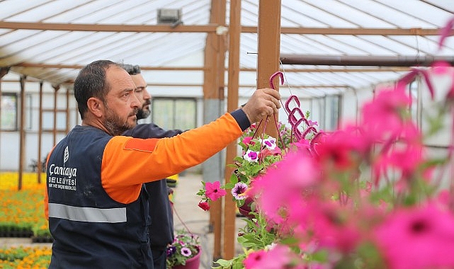 Çankaya Belediyesi baharın gelmesiyle birlikte yaz dönemi bitki üretimi için