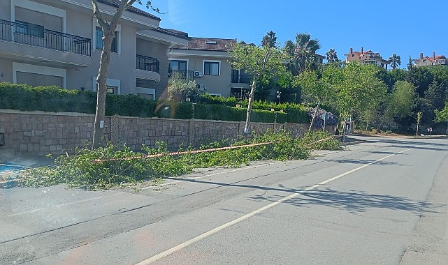 Güzelbahçe Belediyesi, bahar bakımı ve yaza hazırlık çalışmalarını hızlandırdı.