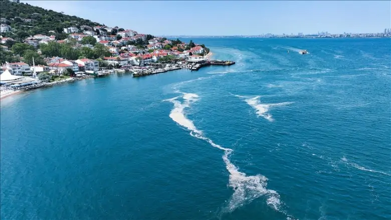 Marmara Denizi’nde Adalar ilçesinde yer alan Kınalıada açıkları ile Bursa’nın…