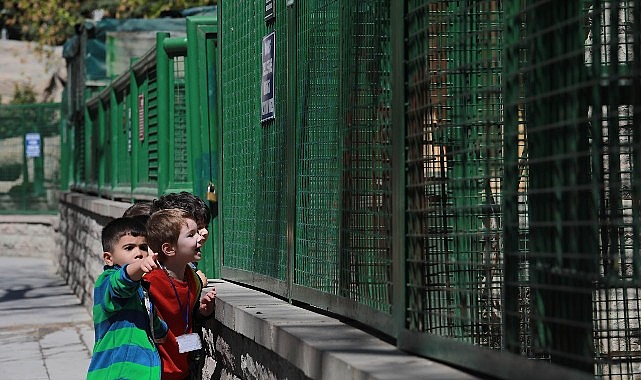 Keçiören Belediyesi’ne bağlı Çocuk Gelişim Merkezleri, Evcil Hayvan Parkı’na gezi
