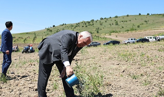 Nilüfer Belediyesi, Konaklı Mahallesi’nde 800 zeytin fidanını toprakla buluşturdu.