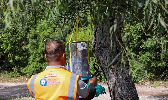 Antalya Büyükşehir Belediyesi, Sarısu Kadınlar Plajı’nı yeni sezonda da binlerce